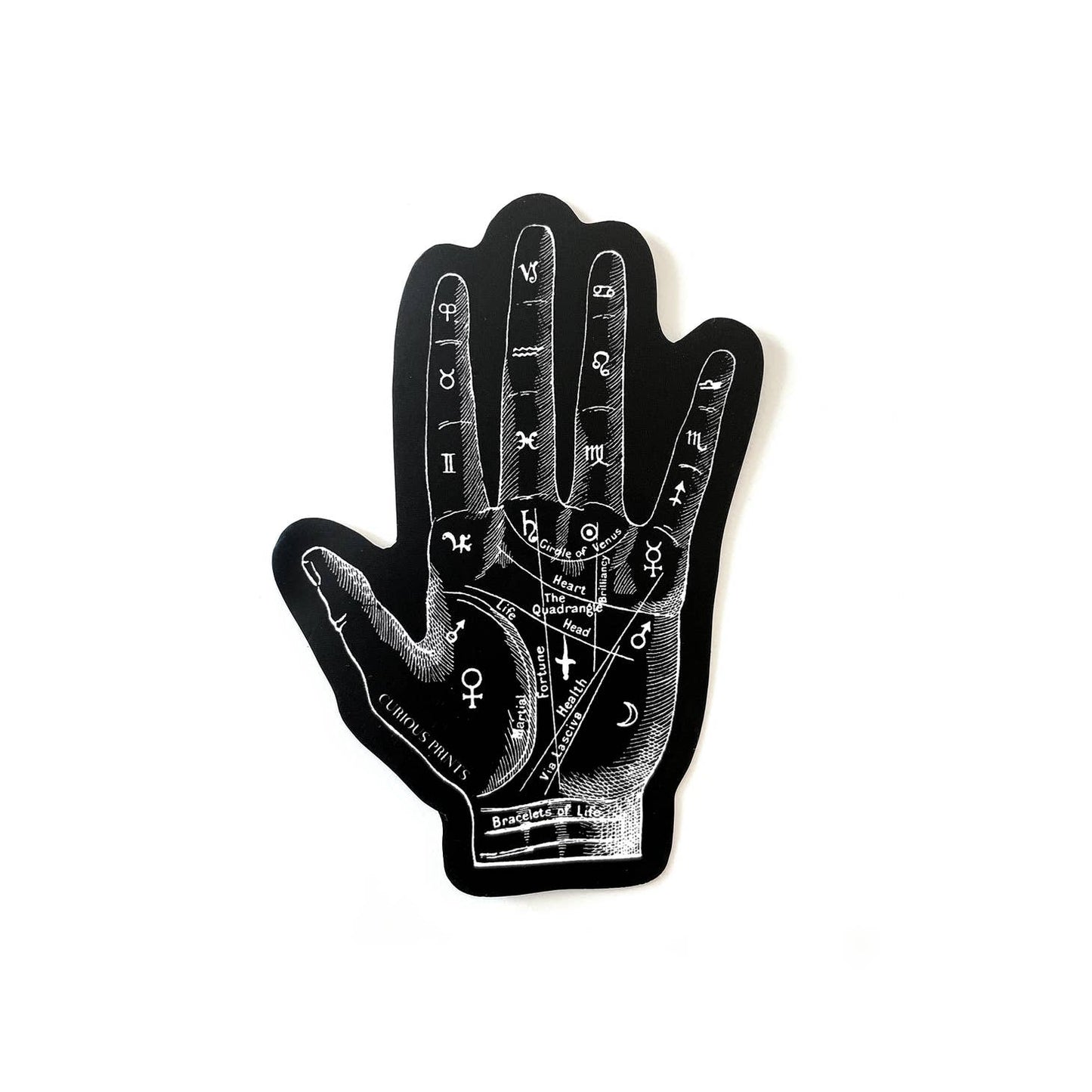 Vintage Palmistry Mystical Sticker