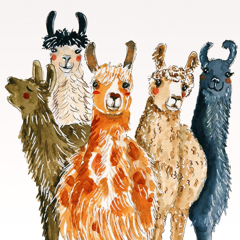 Herd It's Your Birthday Card