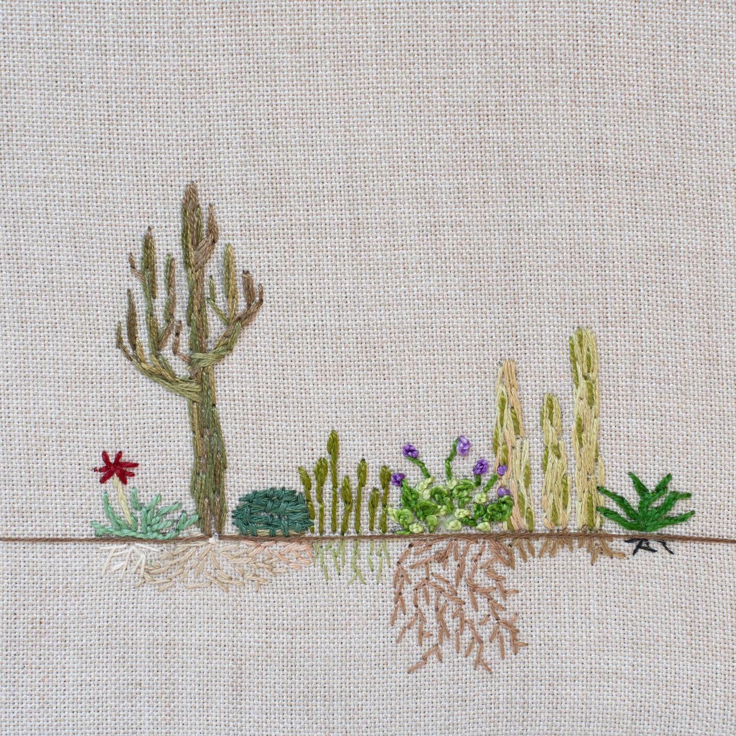 Desert Roots Study