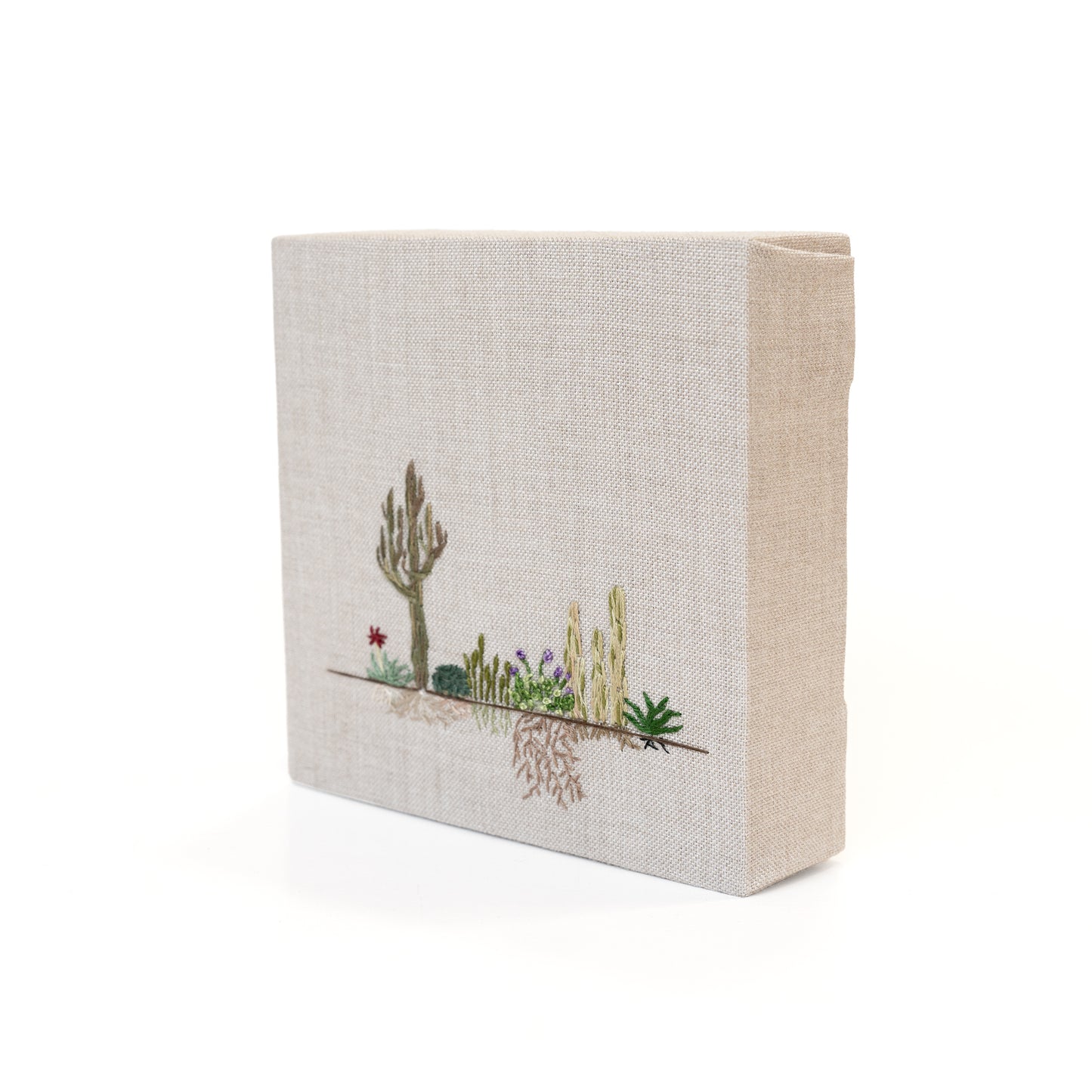 Desert Roots Study