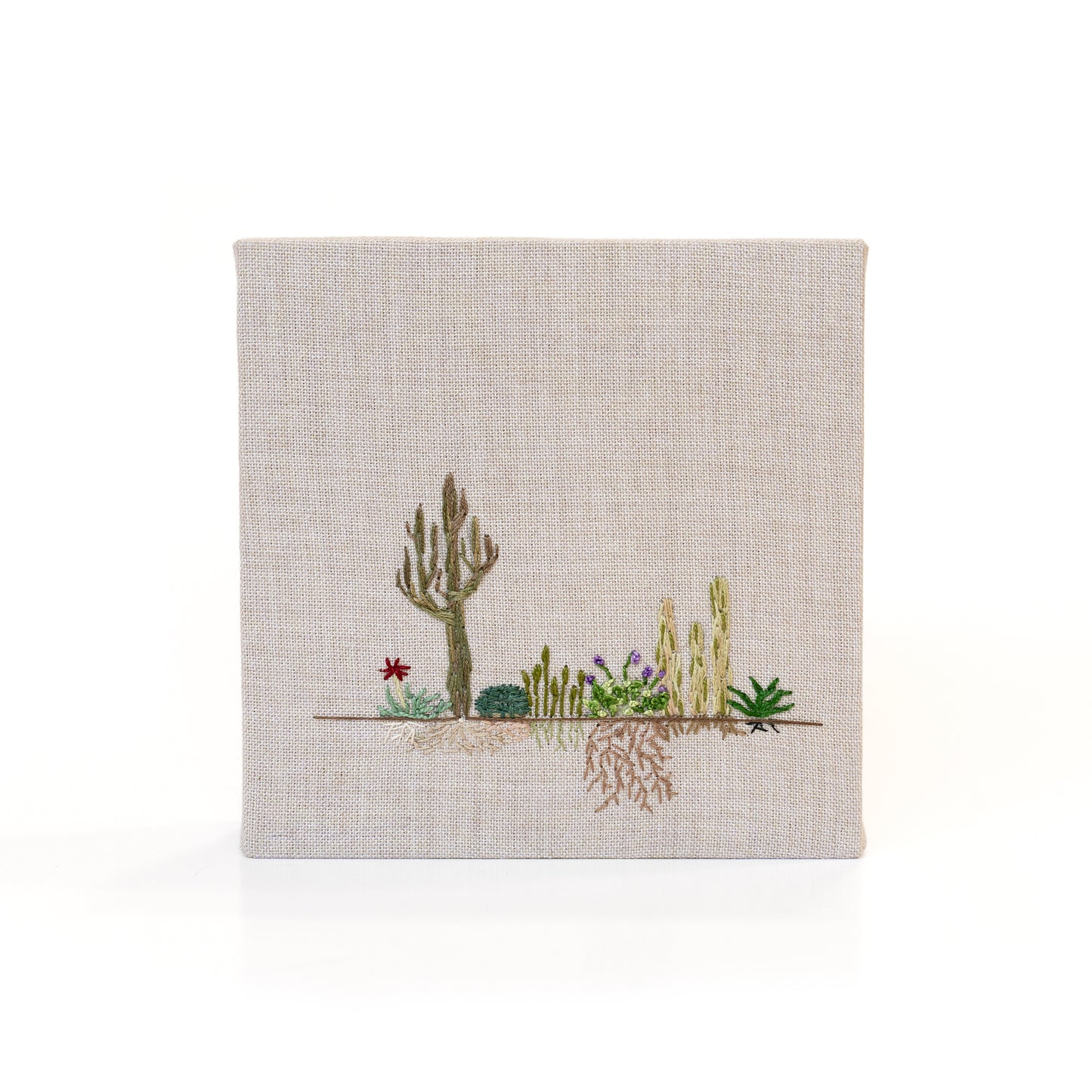Desert Roots Study