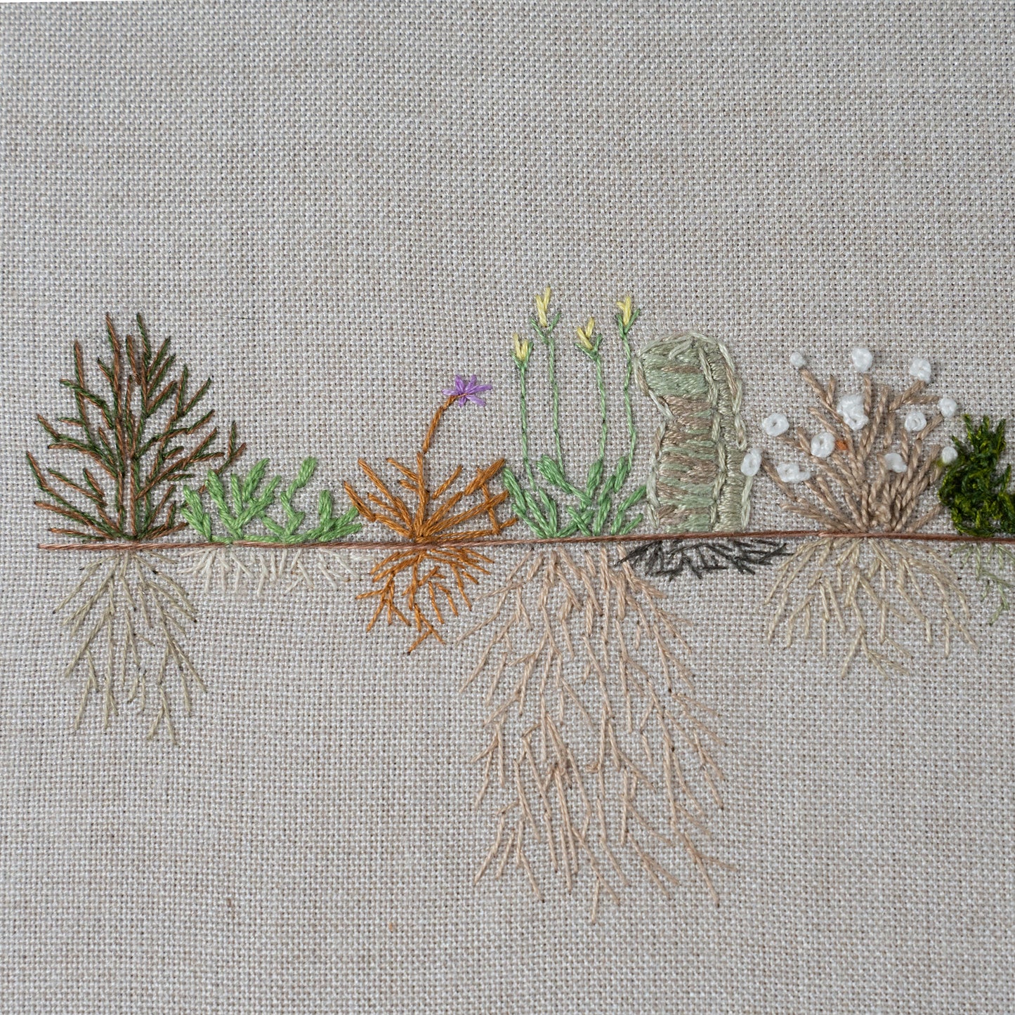 Desert Roots