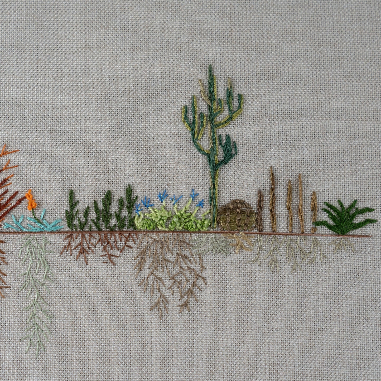 Desert Roots