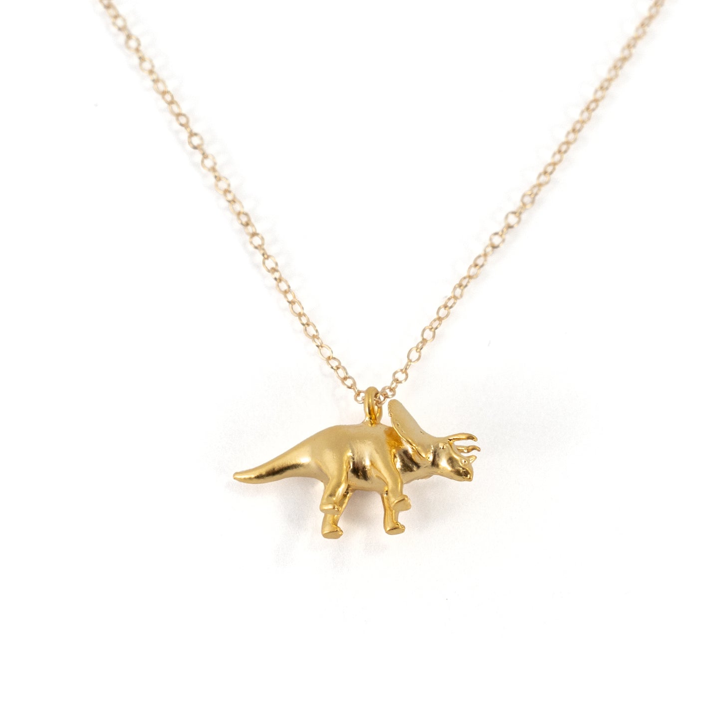 Dino Necklace