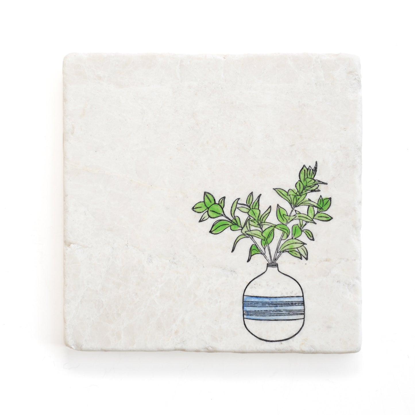 House Plant Marble Coaster