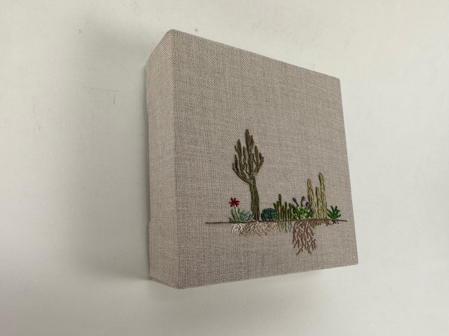 Desert Roots Study