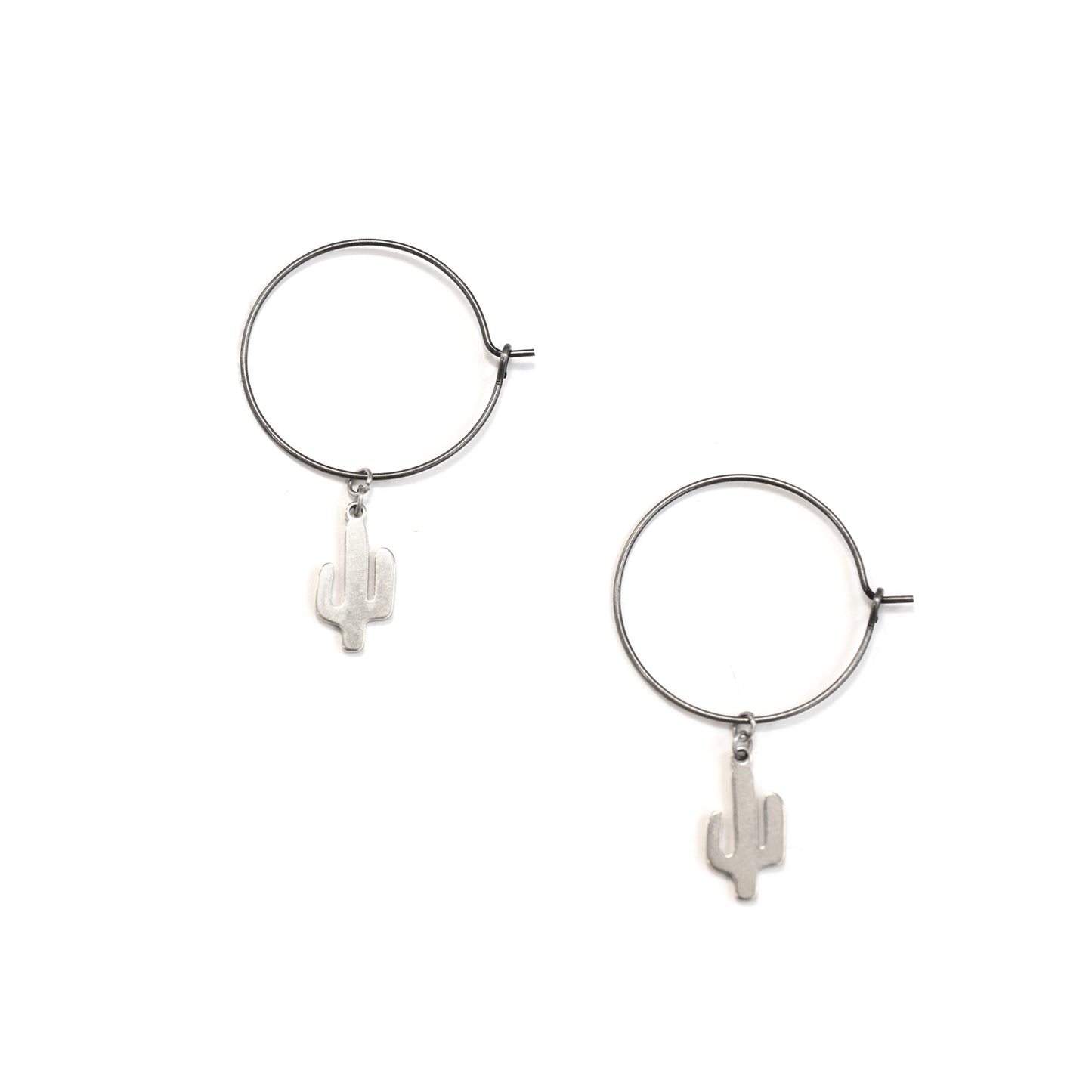 Small Saguaro Hoops