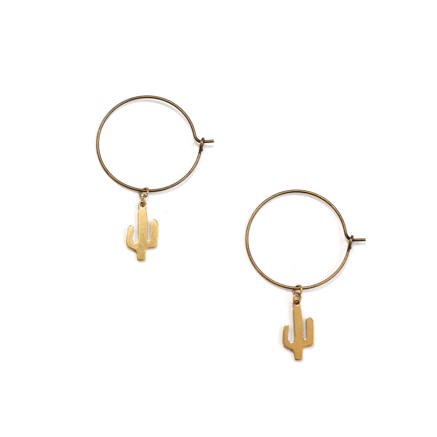 Small Saguaro Hoops