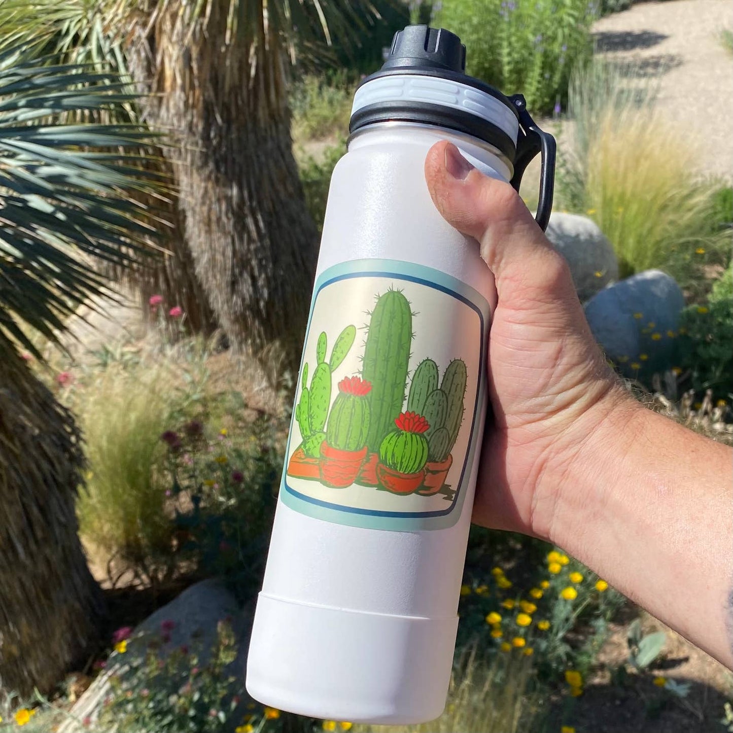 Potted Cacti Sticker