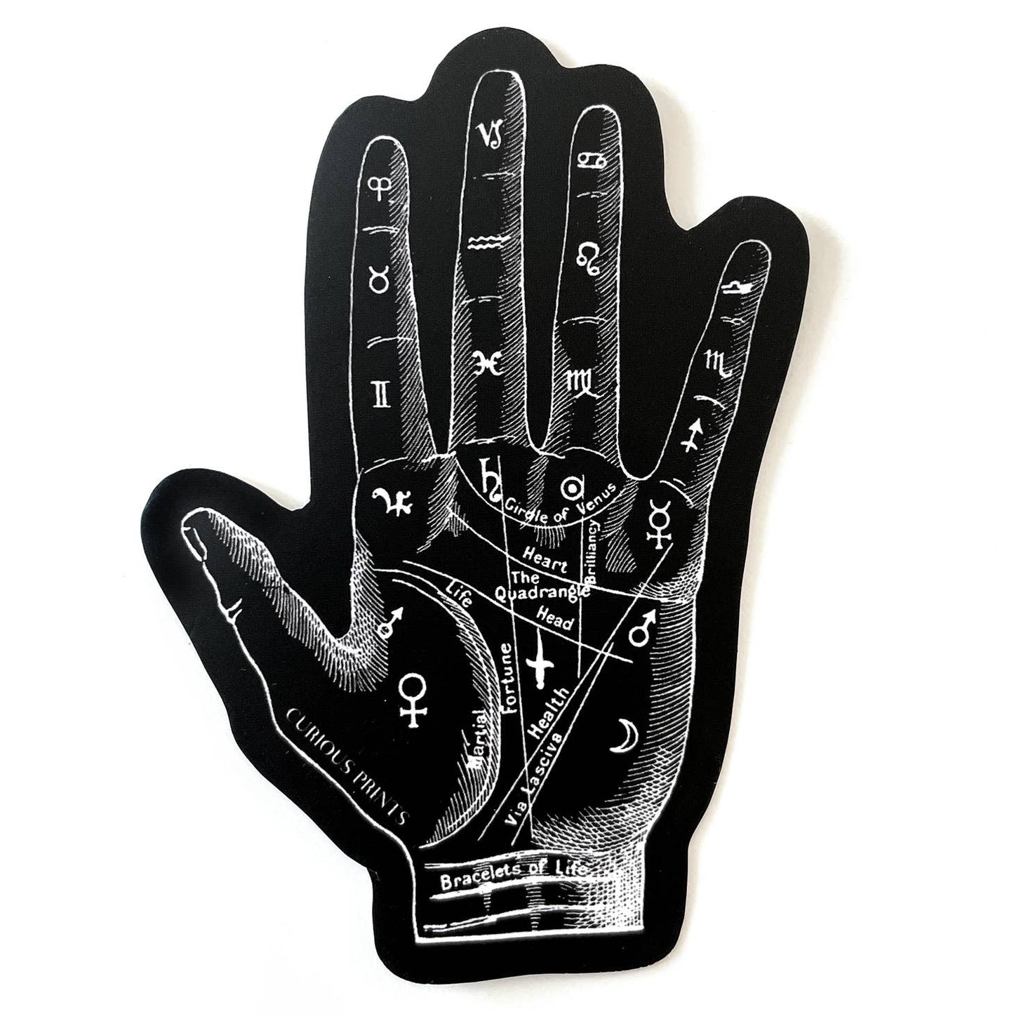Vintage Palmistry Mystical Sticker