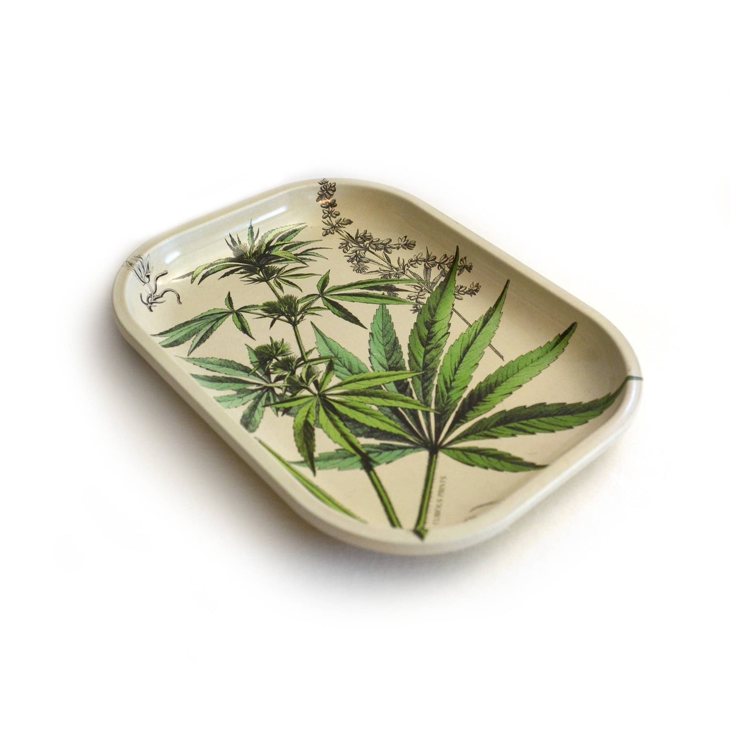 Small Metal Cannabis Ritual Tray / Vintage Botanical Print