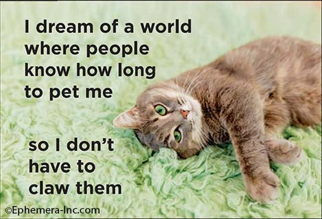 I Dream of a World... Cat Magnet