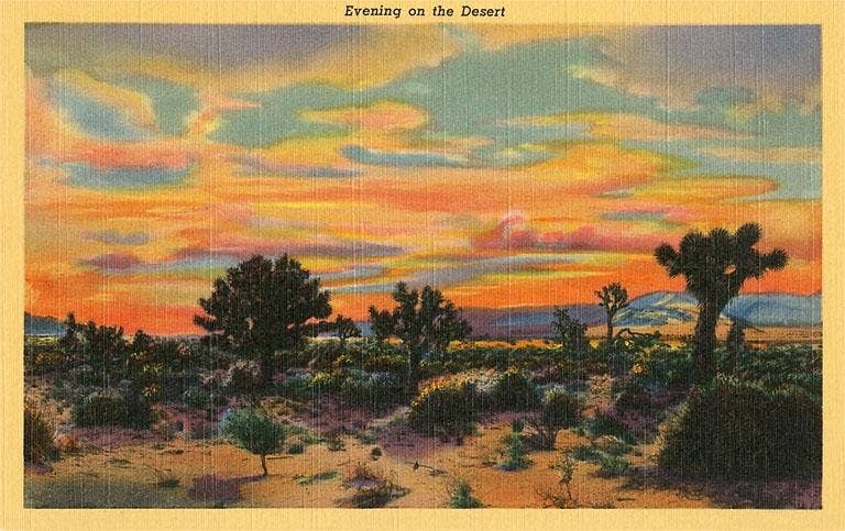 Evening on the Desert Vintage Image Art Print