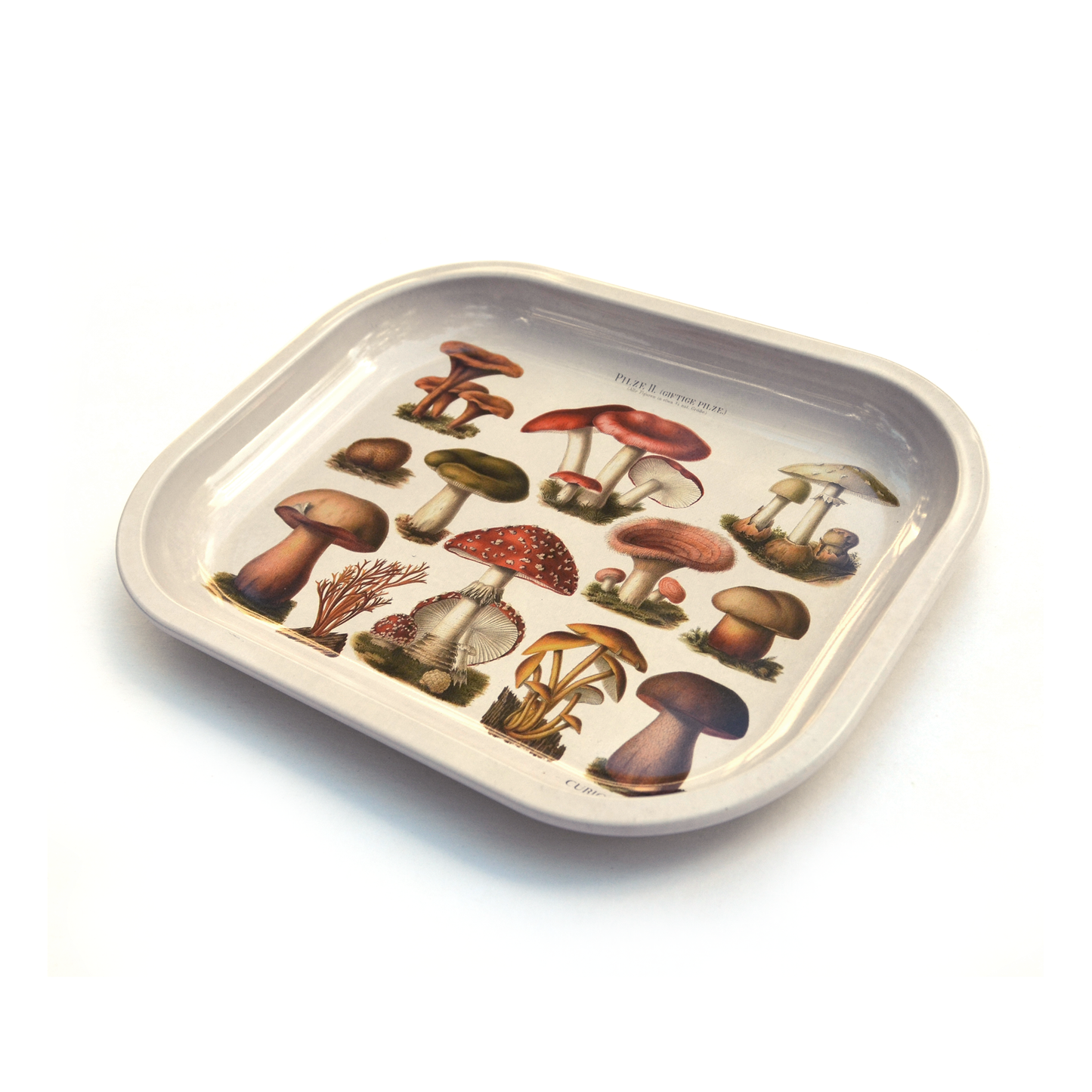 Metal Mushroom Ritual Tray