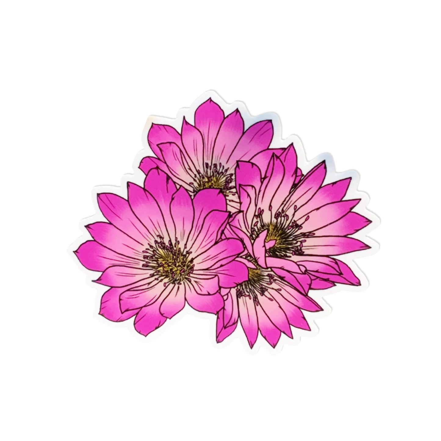 Bitterroot Flowers Sticker