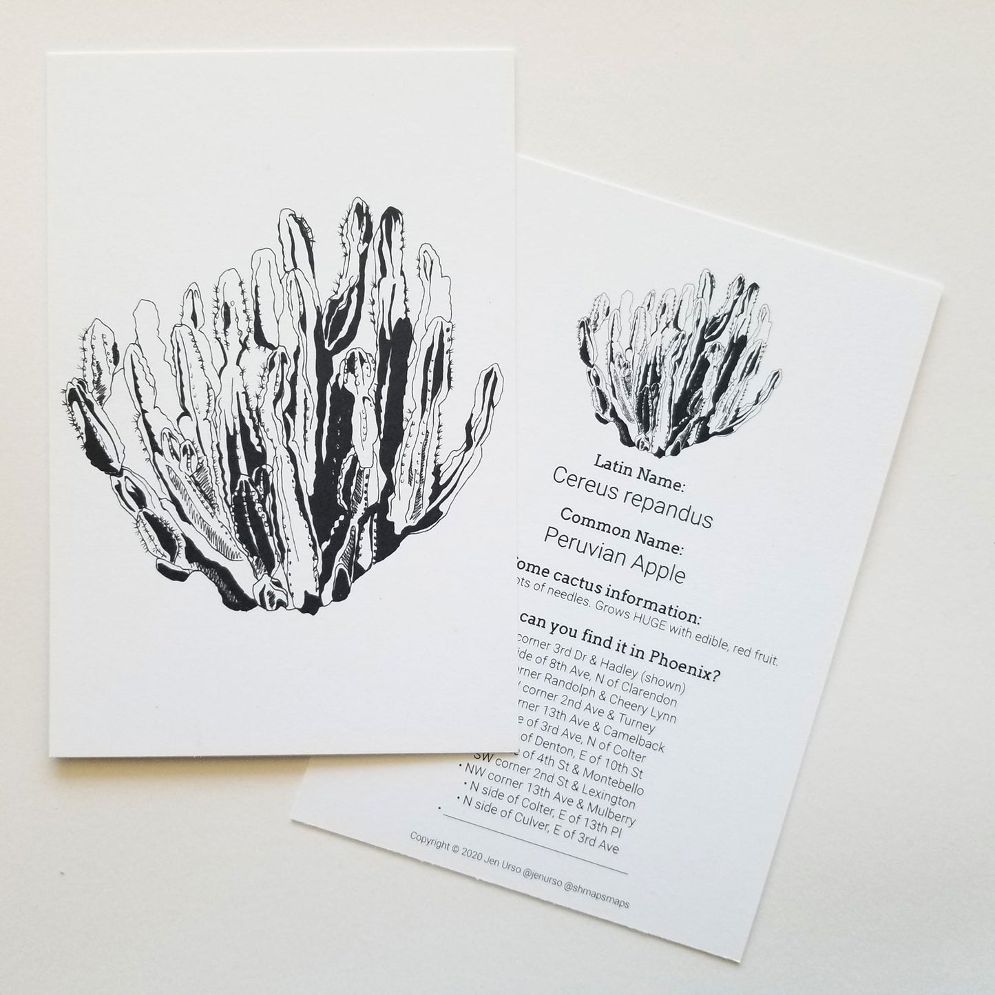 Cactus Card 5 pack Common Finds