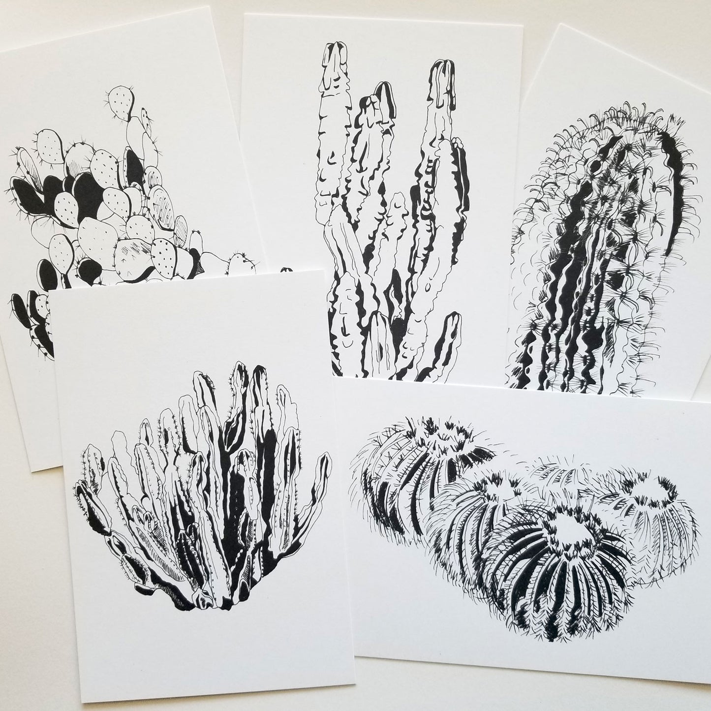 Cactus Card 5 pack Common Finds