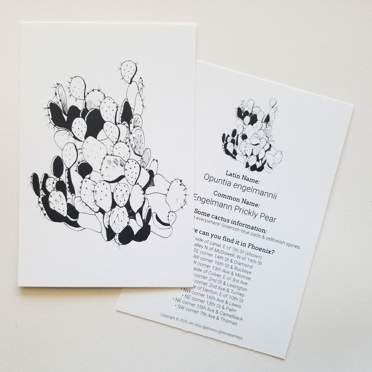 Cactus Card 5 pack Common Finds