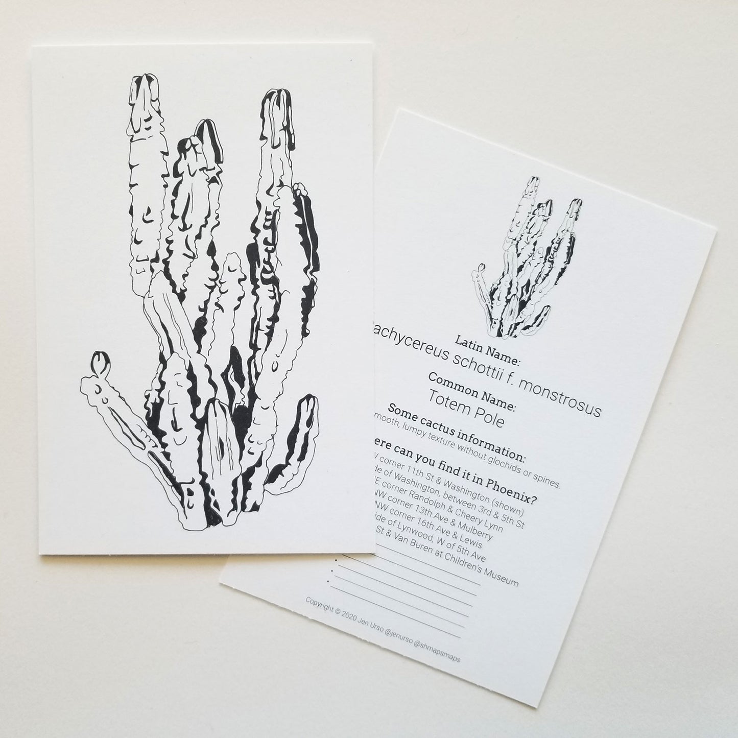 Cactus Card 5 pack Common Finds