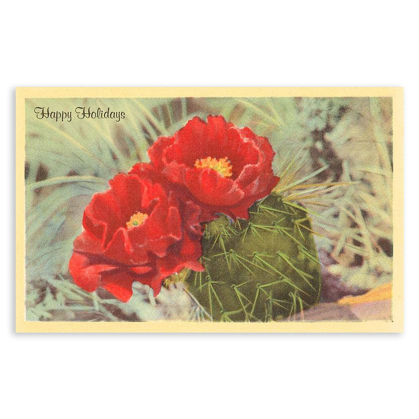 Happy Holidays Blooming Cactus - Vintage Image Postcard