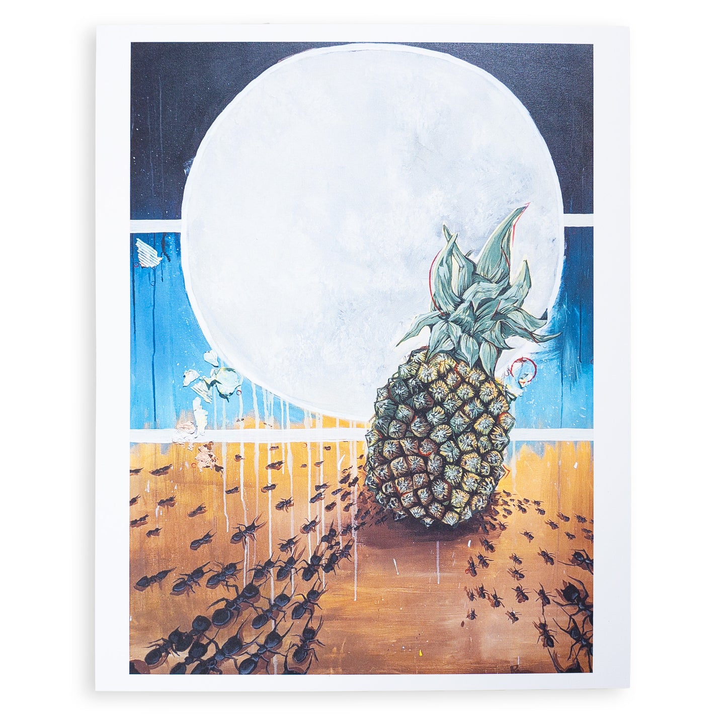 Pineapple Print