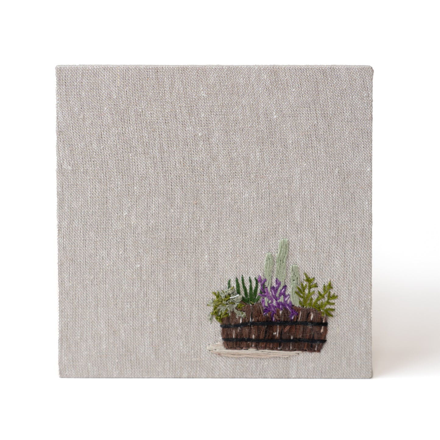 Small Plants in a Barrel