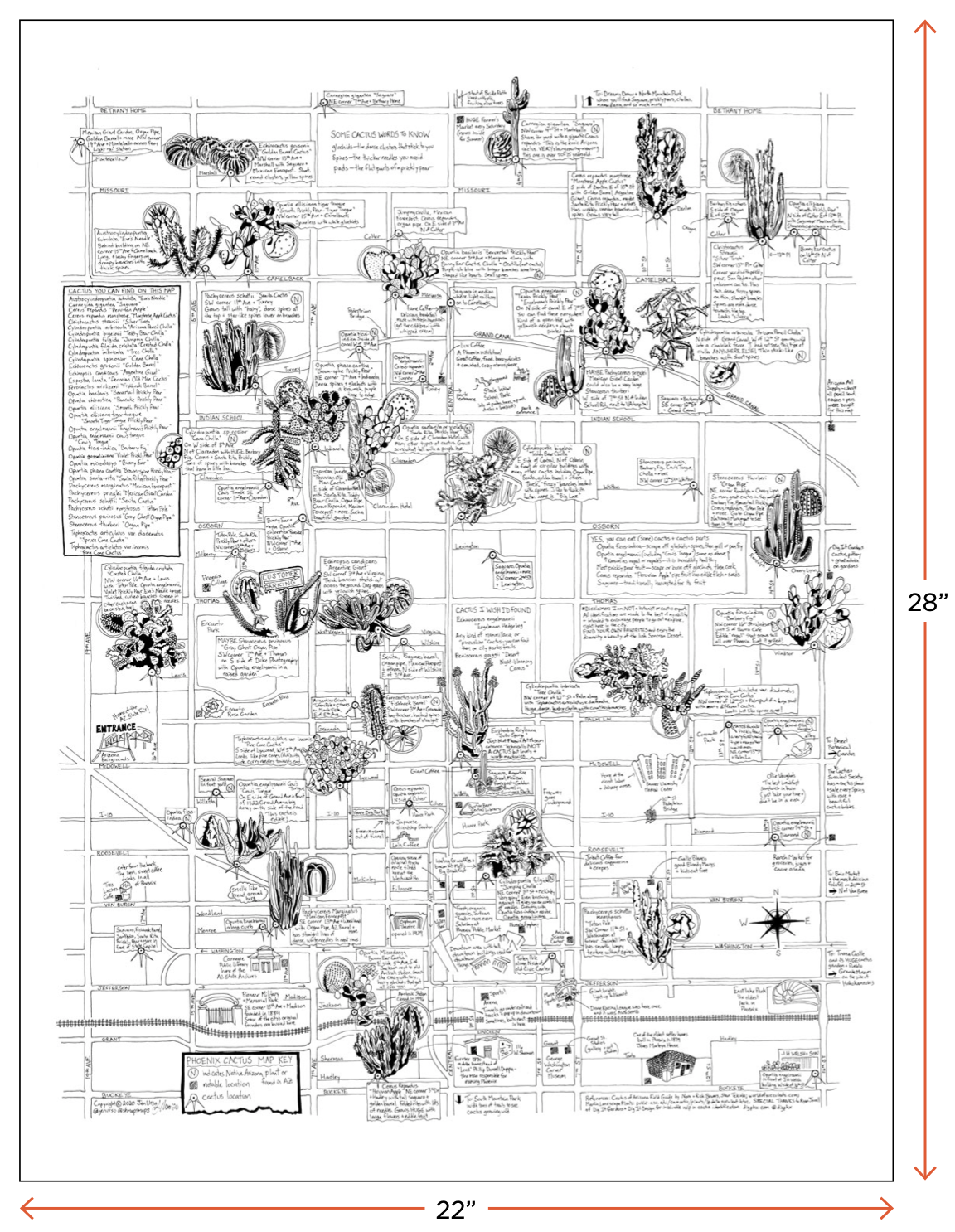 Phoenix Cactus Map