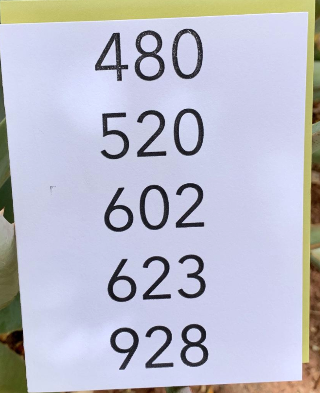 Area Code Card Letterpress