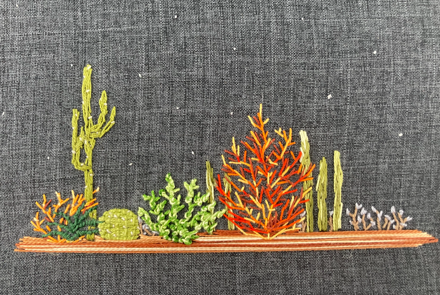 Desert Starry Night