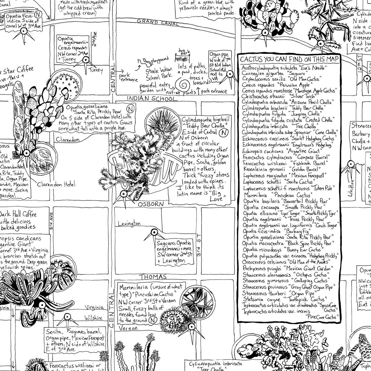 Phoenix Cactus Map