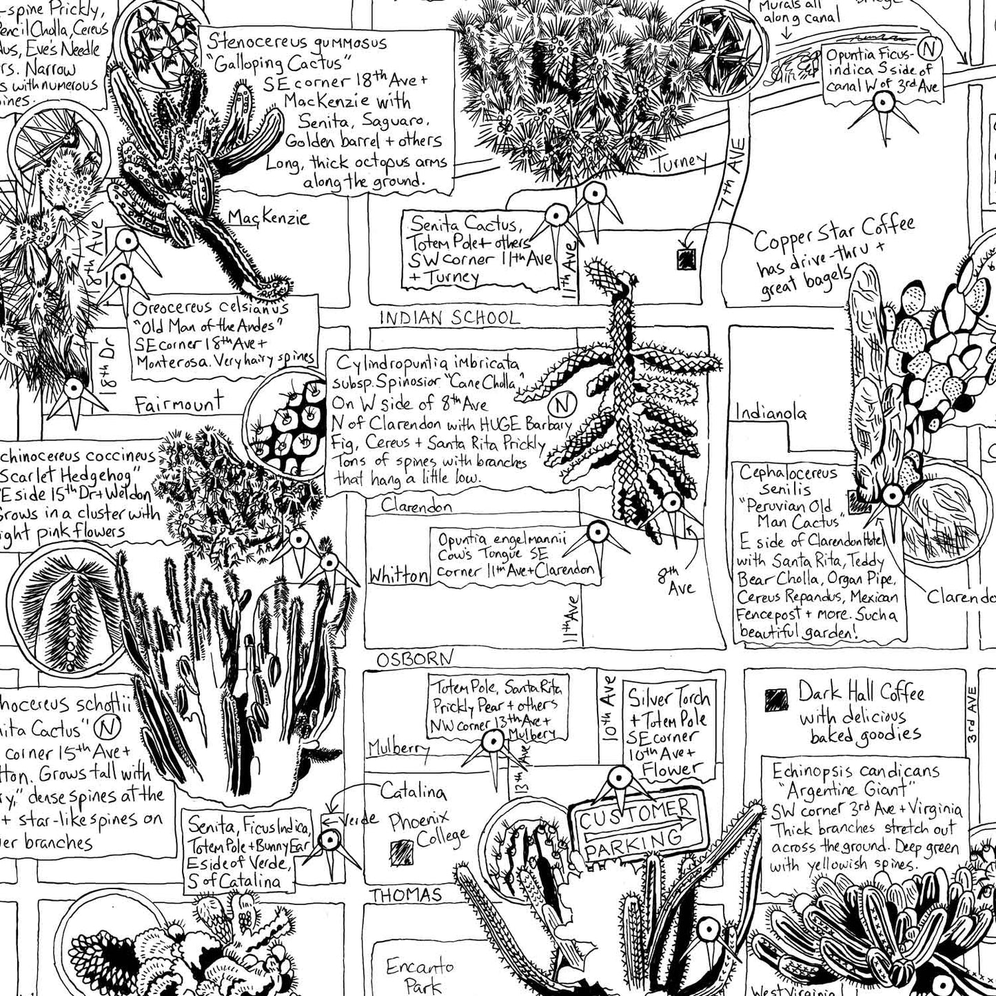 Phoenix Cactus Map