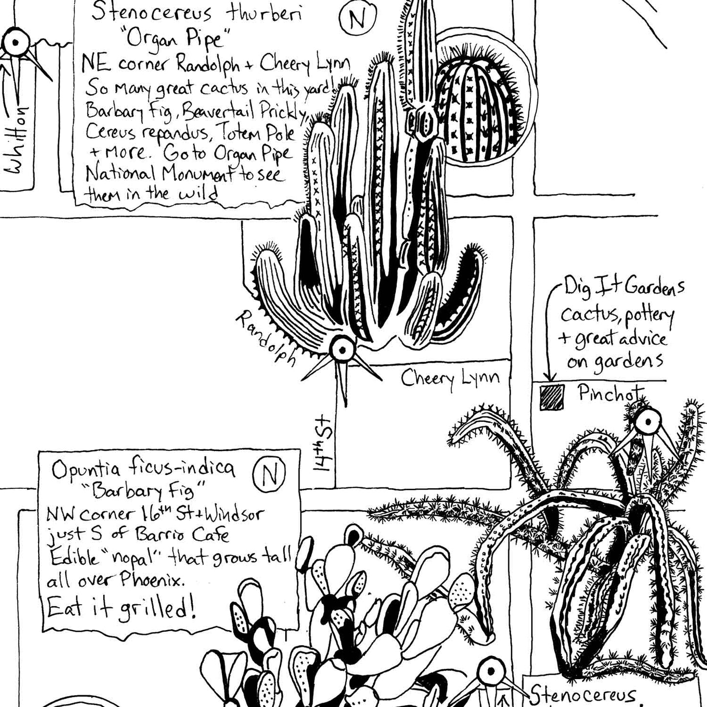 Phoenix Cactus Map