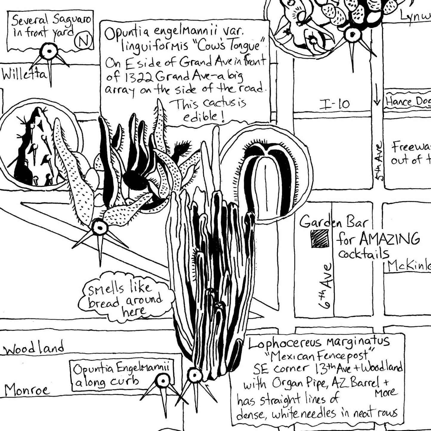 Phoenix Cactus Map