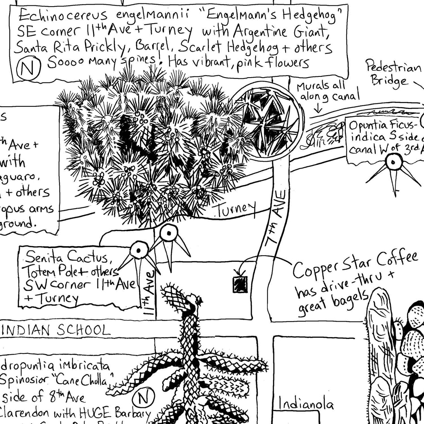 Phoenix Cactus Map