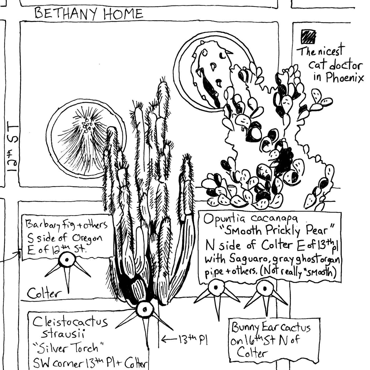 Phoenix Cactus Map