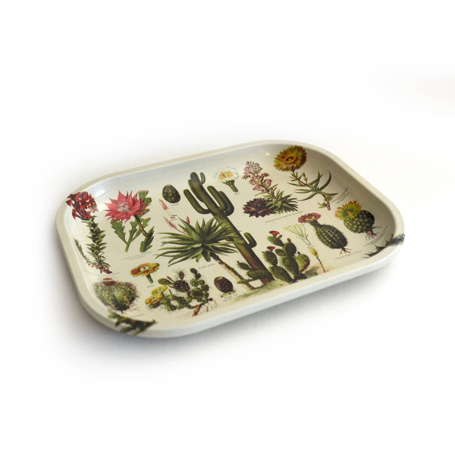 Small Metal Cactus Ritual Tray / Vintage Cacti Print