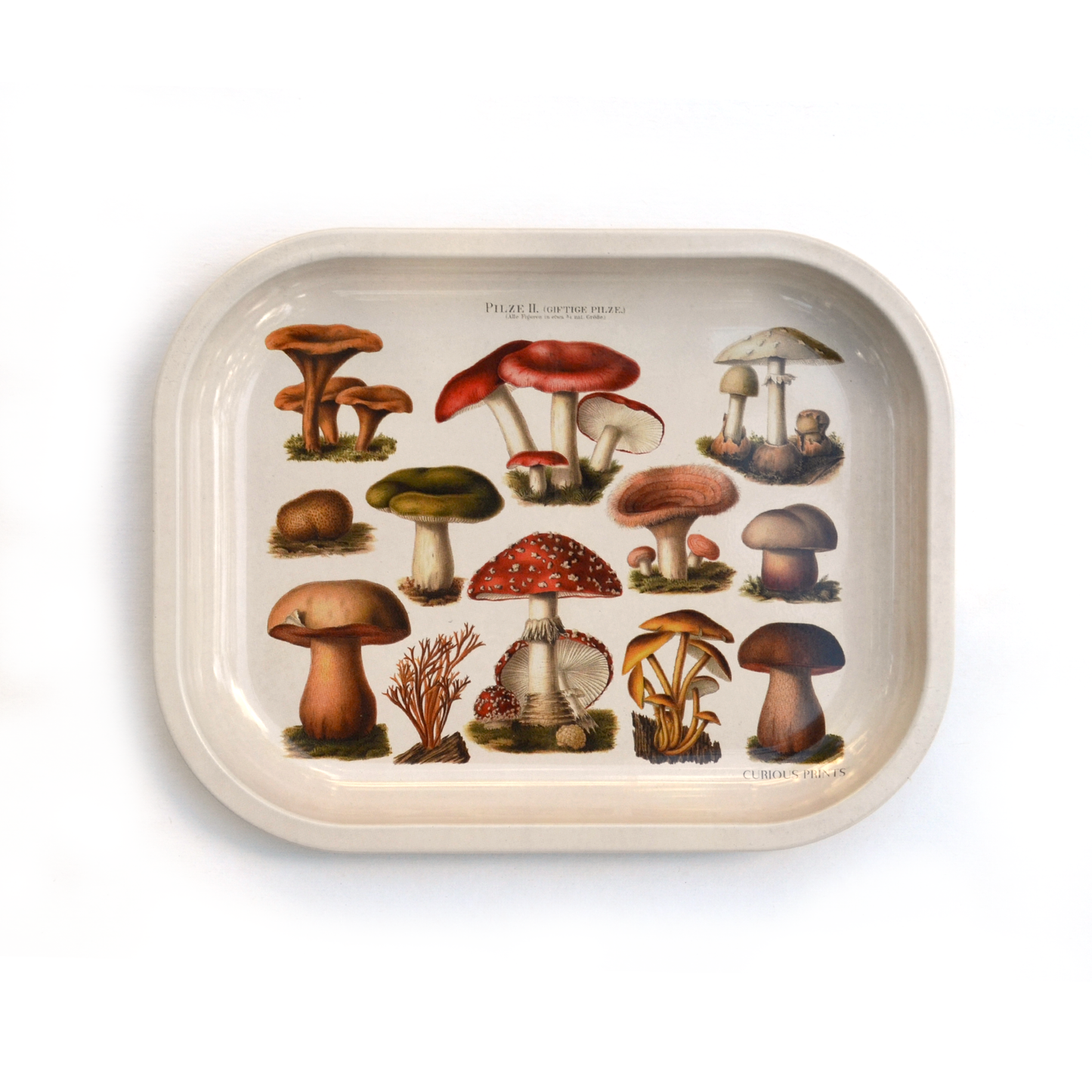 Metal Mushroom Ritual Tray