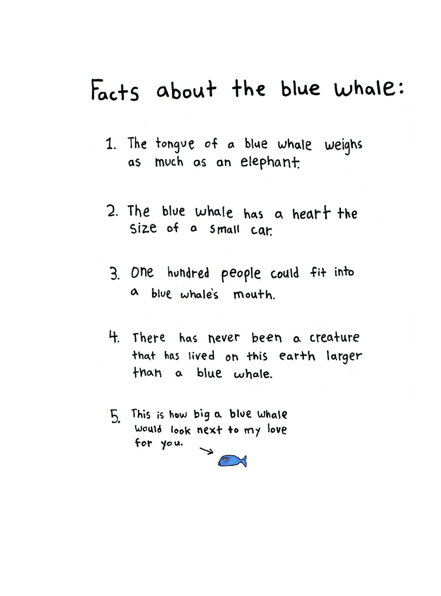 Facts About a Blue Whale Card