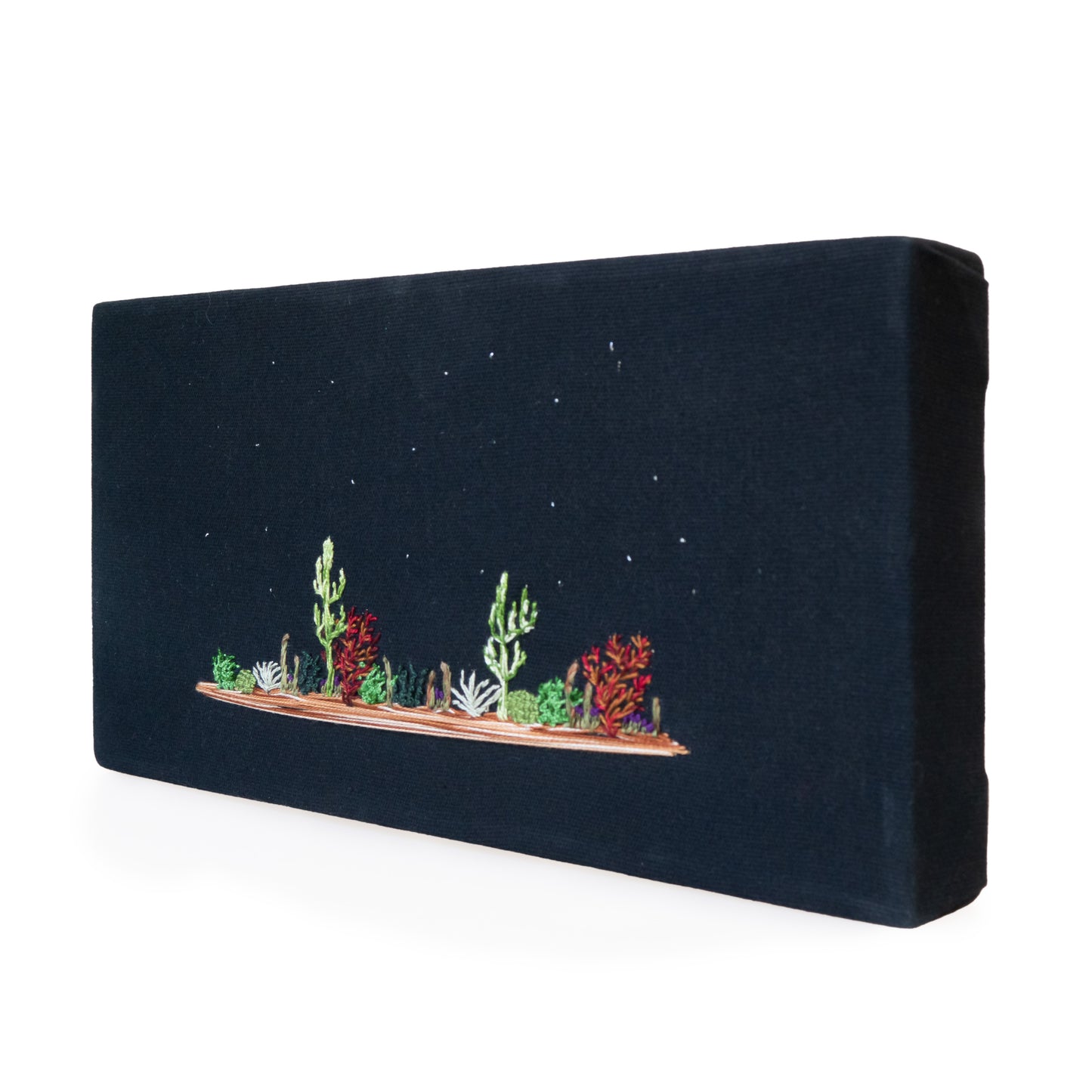 Desert Starry Night