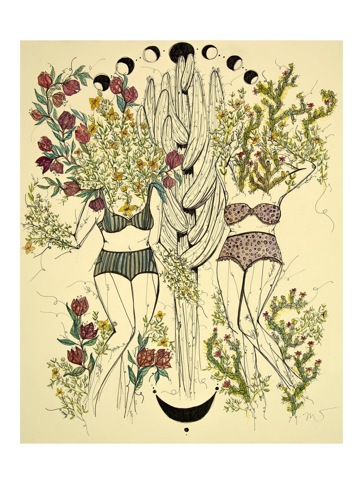 Marcy Ellis