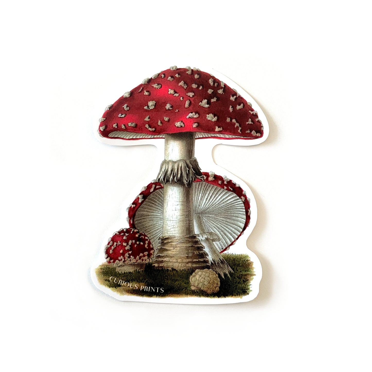 Vintage Magic Mushroom Sticker