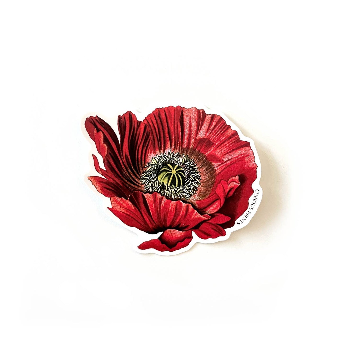 Vintage Botanical Poppy Flower Sticker