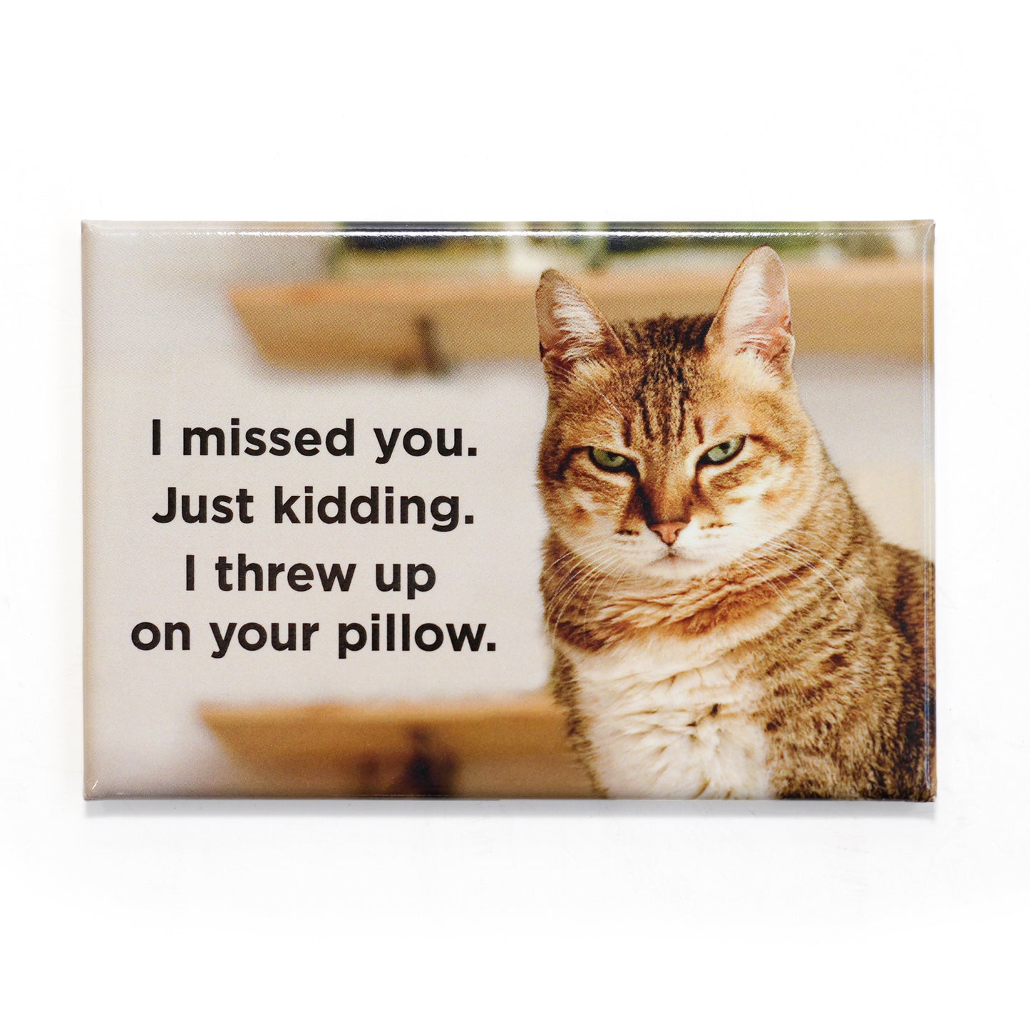 I Missed You. Just Kidding. I Threw Up on Your Pillow Magnet