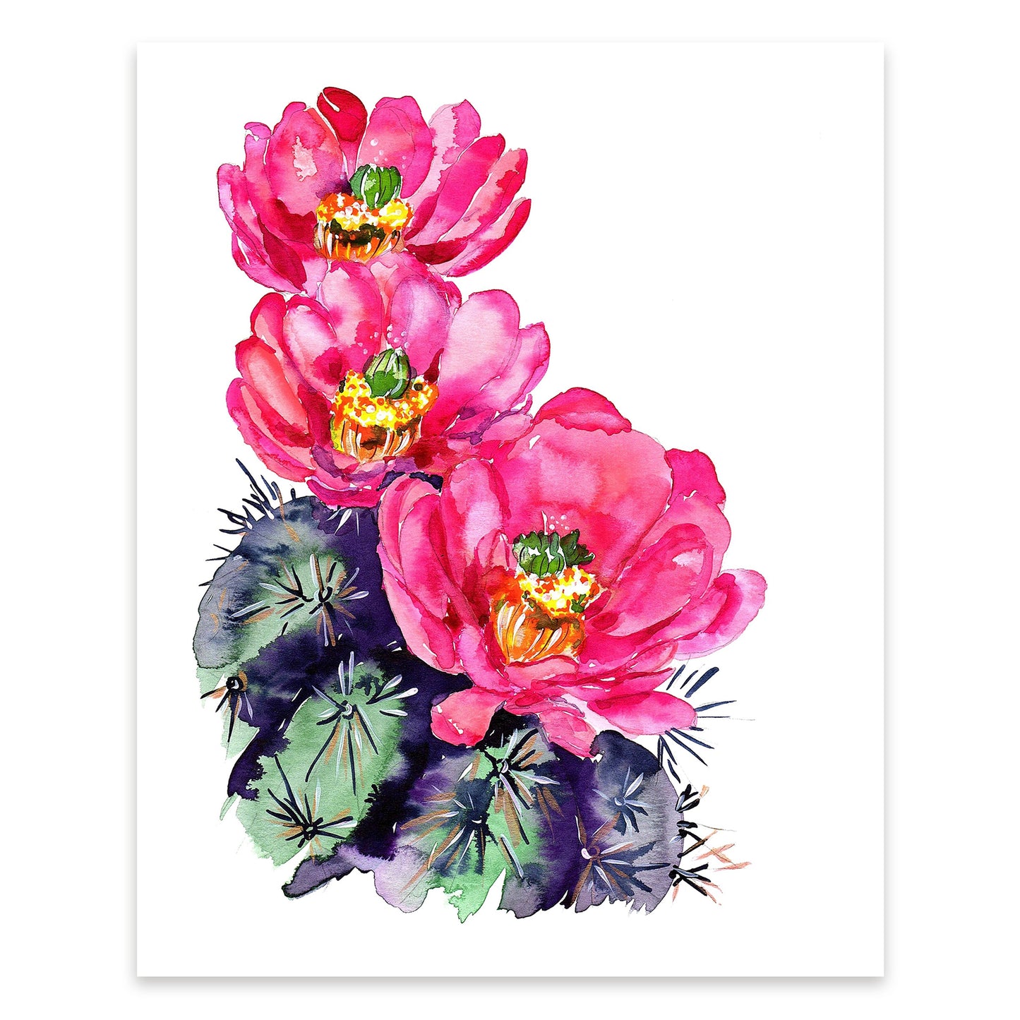 Pink Claret Cup Cactus Giclee Art Print