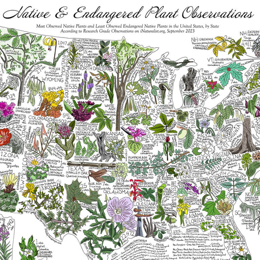 Native and Endangered Map Plants Map