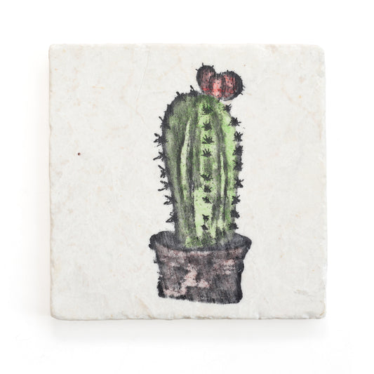 Watercolor Cactus Marble Coaster