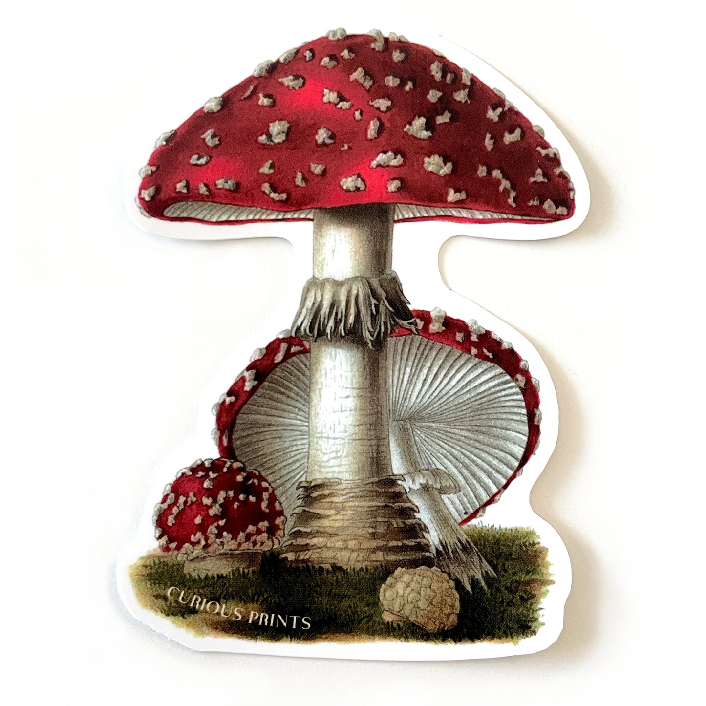 Vintage Magic Mushroom Sticker