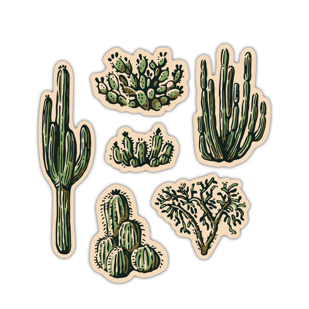Nature Study Cacti Water Bottle Sticker Pack