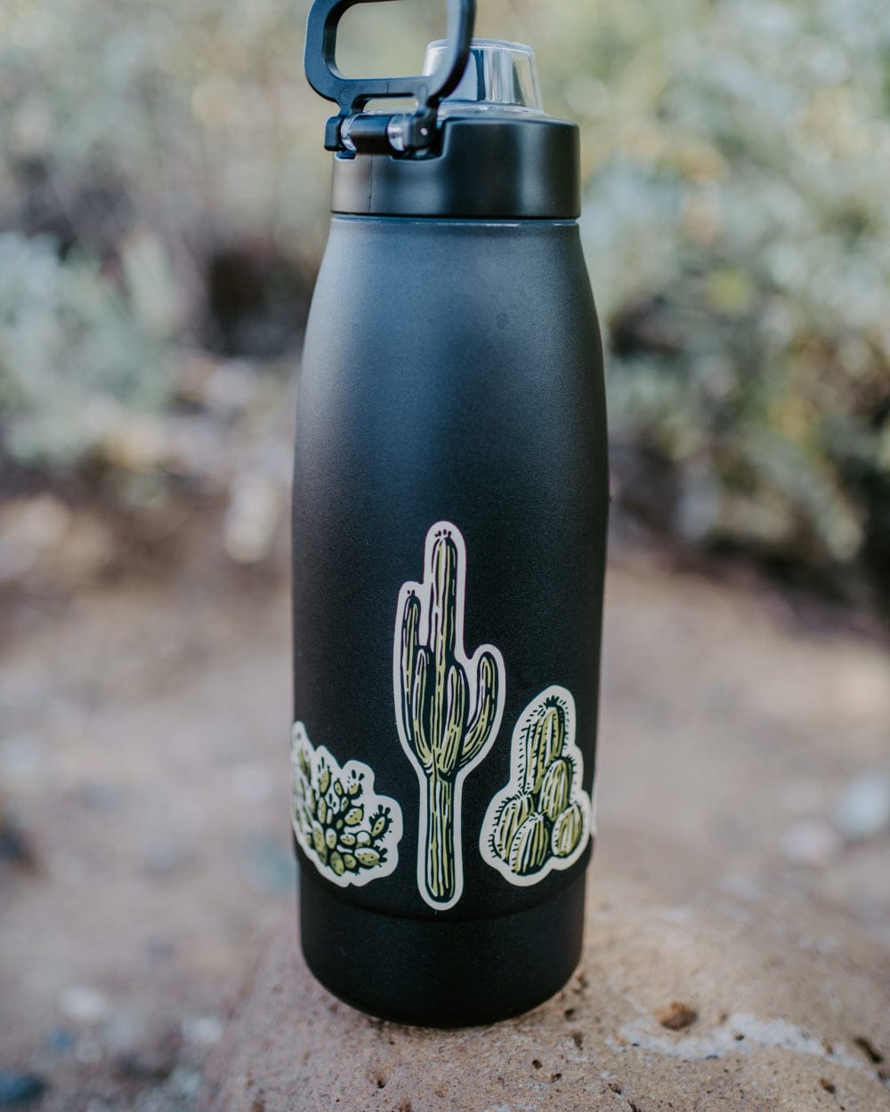 Nature Study Cacti Water Bottle Sticker Pack