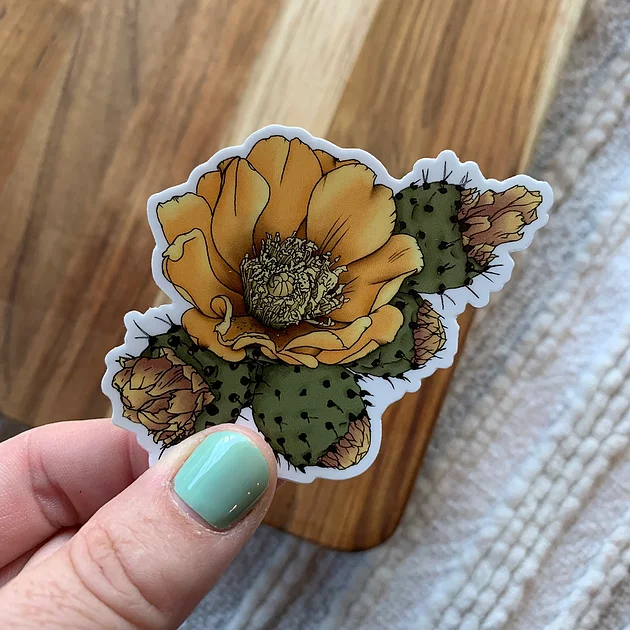 Paddle Cactus Blossom Sticker
